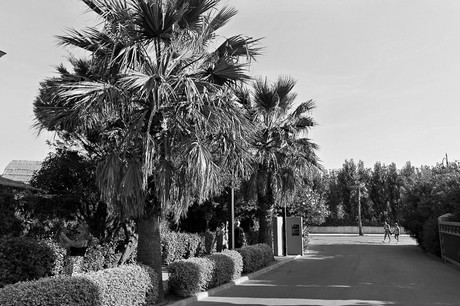 Port Grimaud